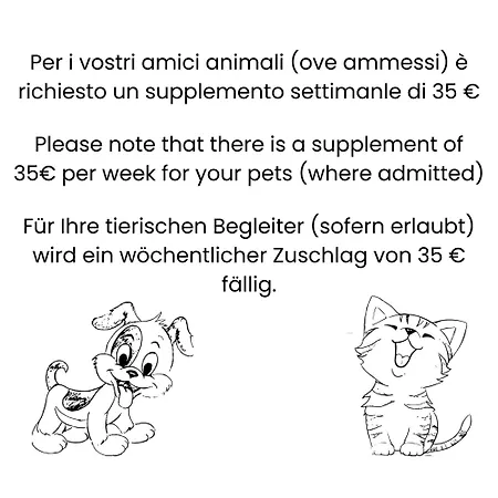 Ariston - Walterigato Solo Per Famiglie *